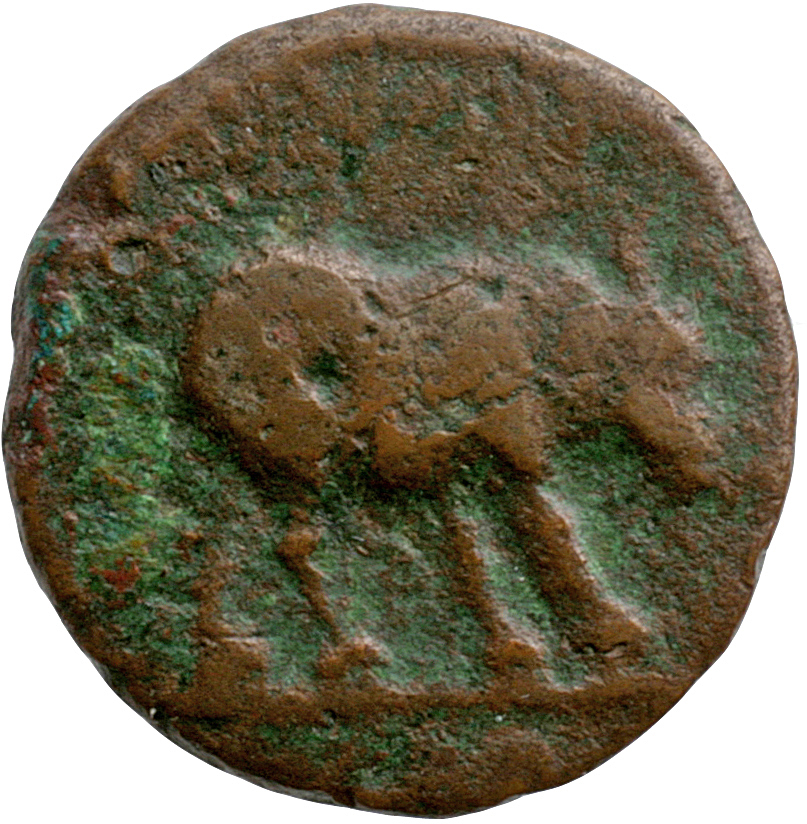 RIC II, Part 1 (second edition) Domitian 248 Domitian obverse, Rhinoceros standing right