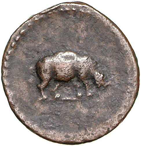 RIC II, Part 1 (second edition) Domitian 248 Domitian obverse, Rhinoceros standing right