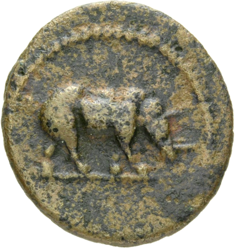 RIC II, Part 1 (second edition) Domitian 249 Domitian obverse, Rhinoceros standing right
