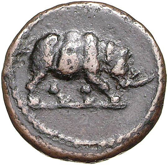 RIC II, Part 1 (second edition) Domitian 249 Domitian obverse, Rhinoceros standing right