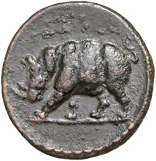 RIC II, Part 1 (second edition) Domitian 250 Domitian obverse, Rhinoceros standing left