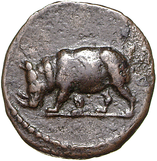 RIC II, Part 1 (second edition) Domitian 250 Domitian obverse, Rhinoceros standing left