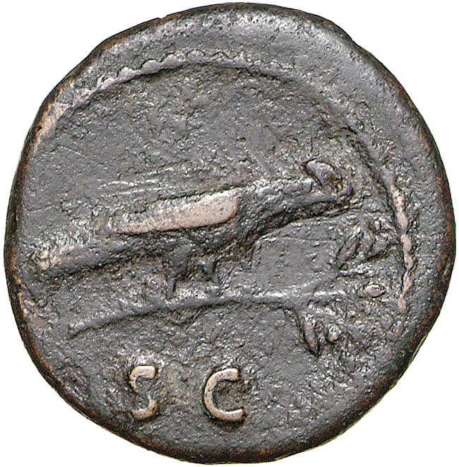 RIC II, Part 1 (second edition) Domitian 313 Domitian reverse, Raven standing on branch