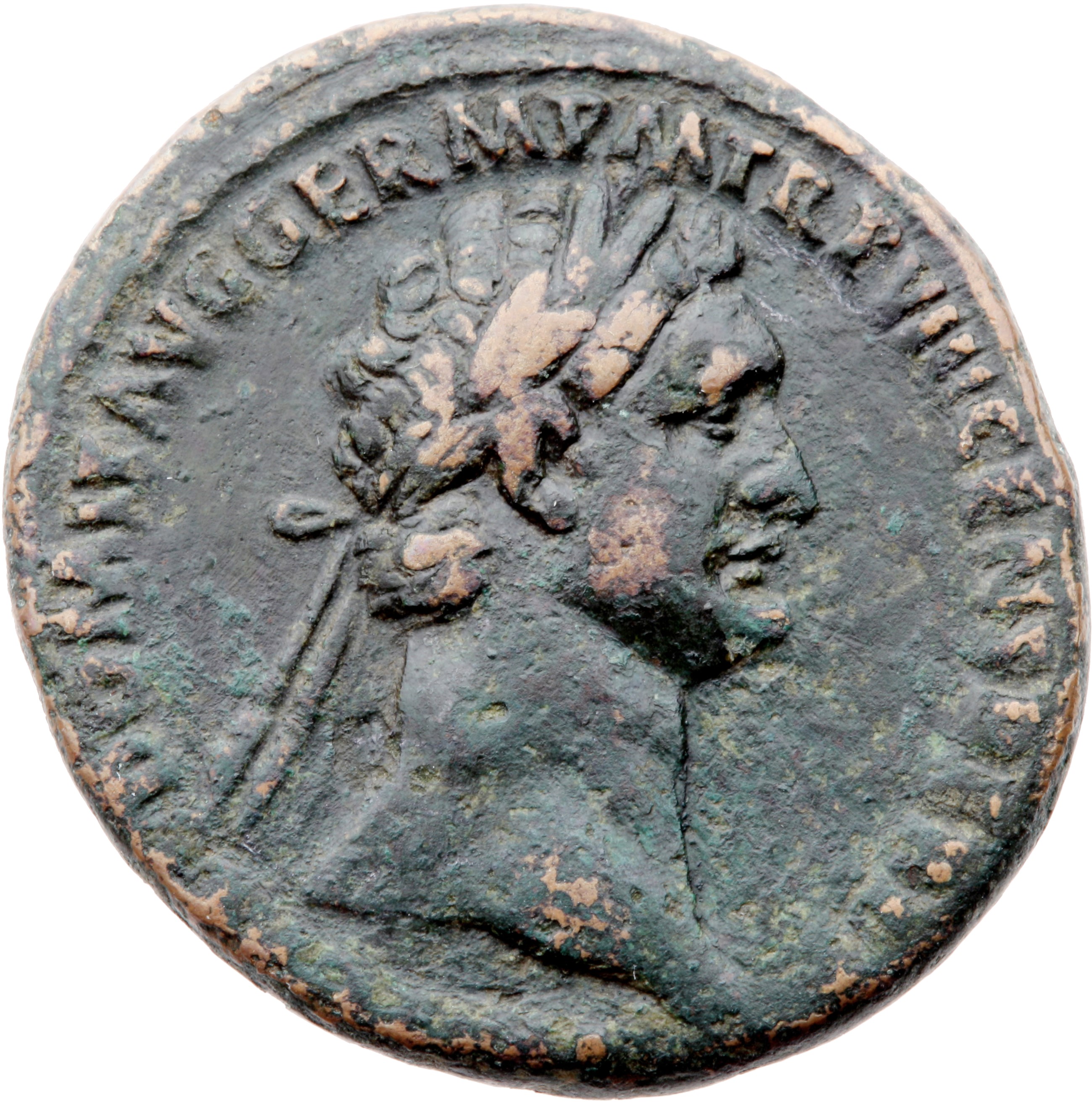 RIC II, Part 1 (second edition) Domitian 623 Domitian obverse, Head of Domitian, laureate, right