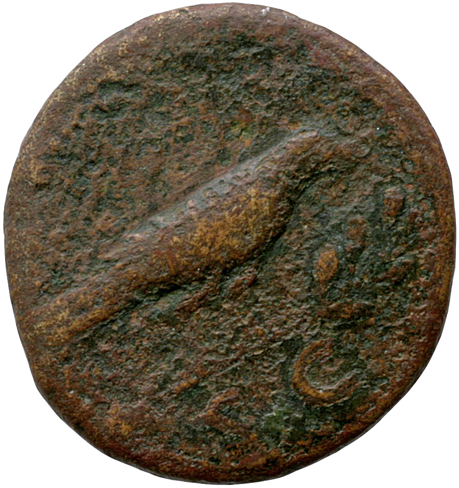 RIC II, Part 1 (second edition) Domitian 710 Domitian reverse, Raven perched right on laurel branch
