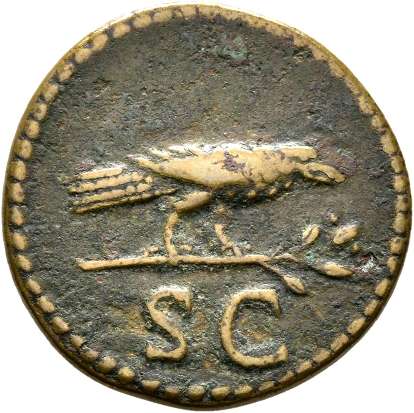 RIC II, Part 1 (second edition) Domitian 710 Domitian reverse — Raven perched right on laurel branch