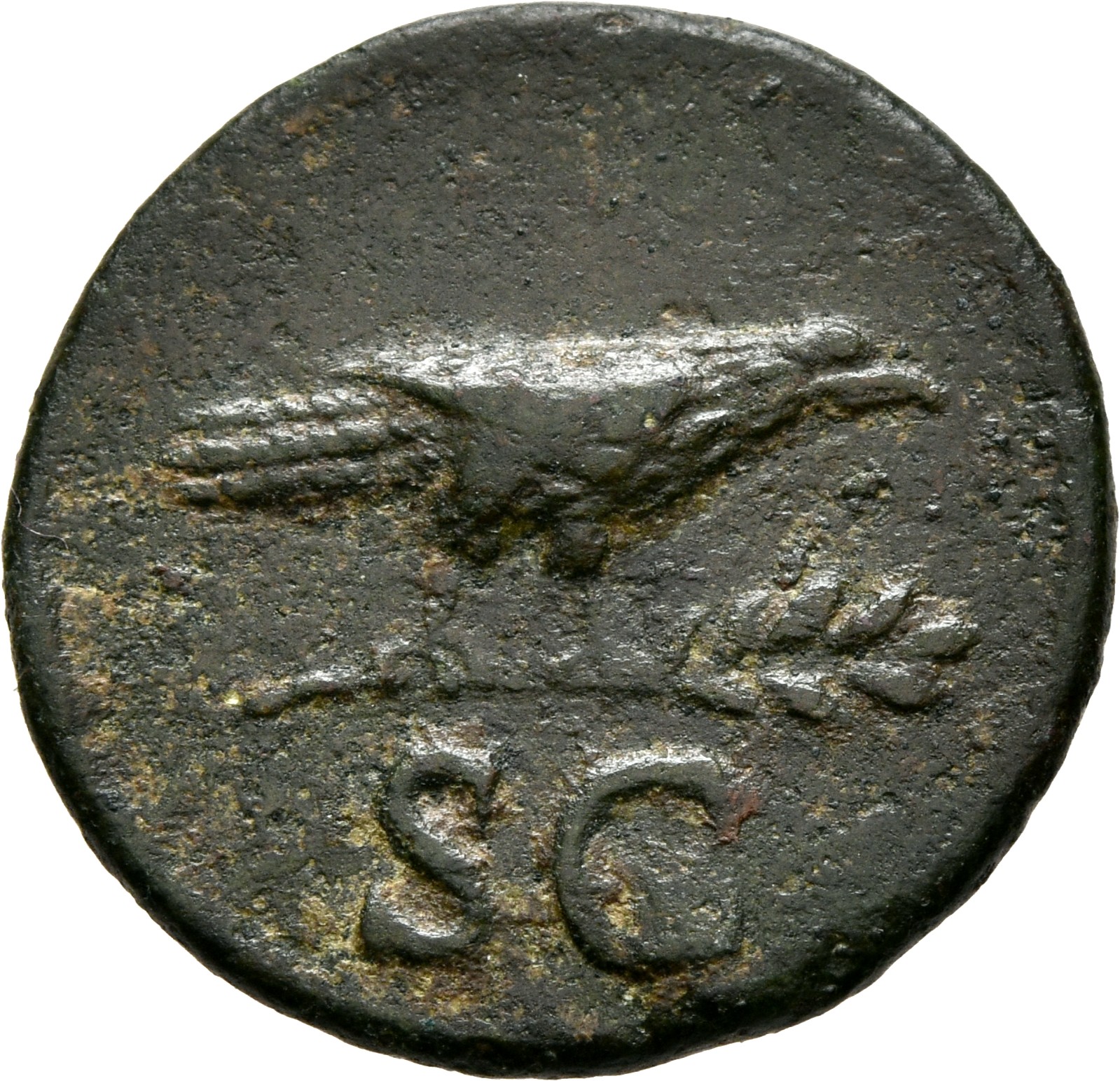 RIC II, Part 1 (second edition) Domitian 711 Domitian reverse, Raven perched right on laurel branch