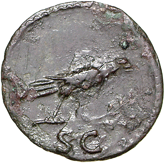 RIC II, Part 1 (second edition) Domitian 715 Domitian reverse, Raven perched right on laurel branch