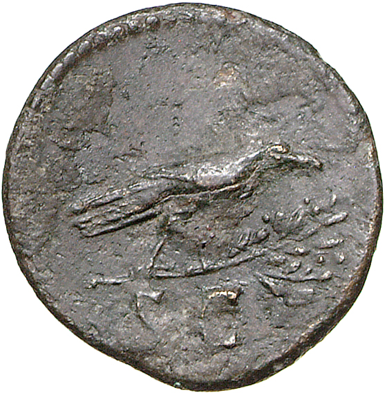 RIC II, Part 1 (second edition) Domitian 758 Domitian reverse, Raven perched right on laurel branch
