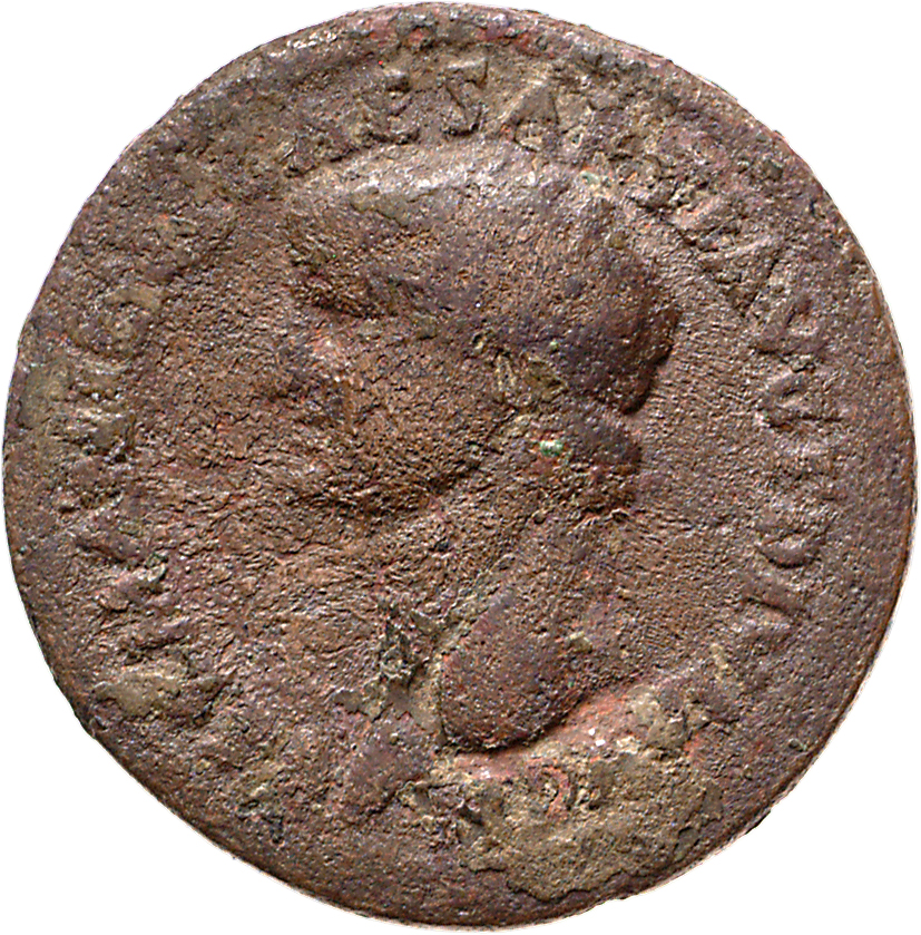 RIC II, Part 1 (second edition) Domitian 828 Domitian obverse — Head of Germanicus, bare, left
