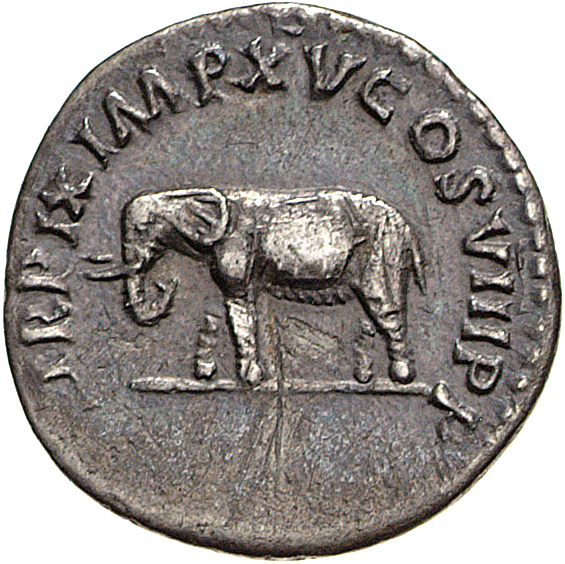 RIC II, Part 1 (second edition) Titus 116 Titus reverse, Elephant, cuirassed, left