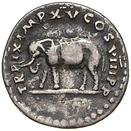 RIC II, Part 1 (second edition) Titus 116 Titus reverse — Elephant, cuirassed, left