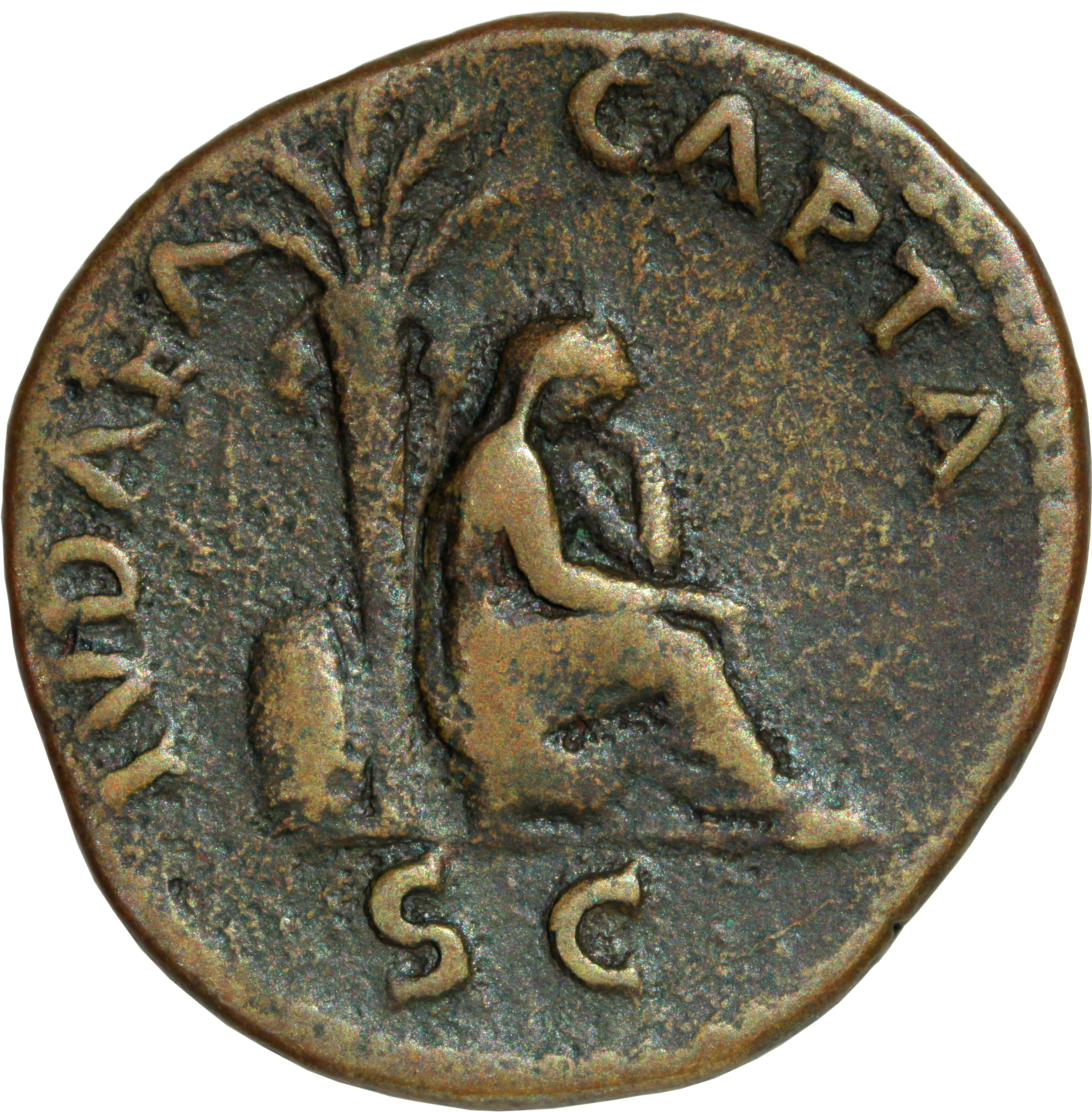 RIC II, Part 1 (second edition) Vespasian 1233 Vespasian reverse, Judaea seated right under palm-tree, in attitude of mour...