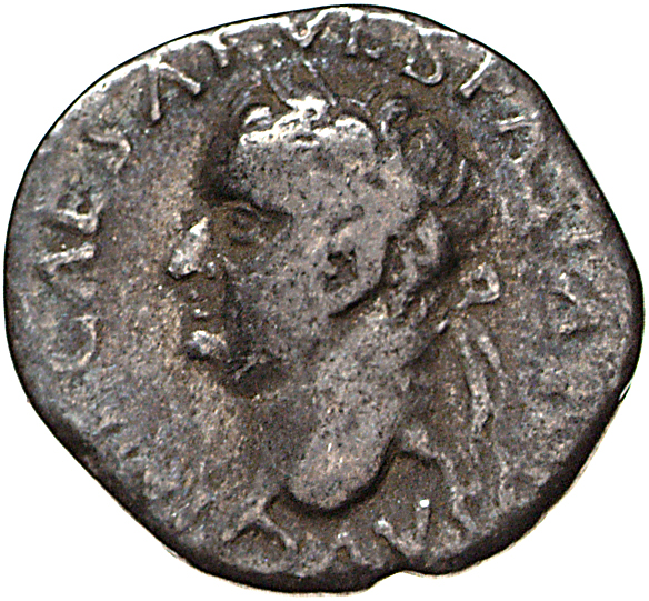 Vespasian obverse — Head of Vespasian, laureate, left