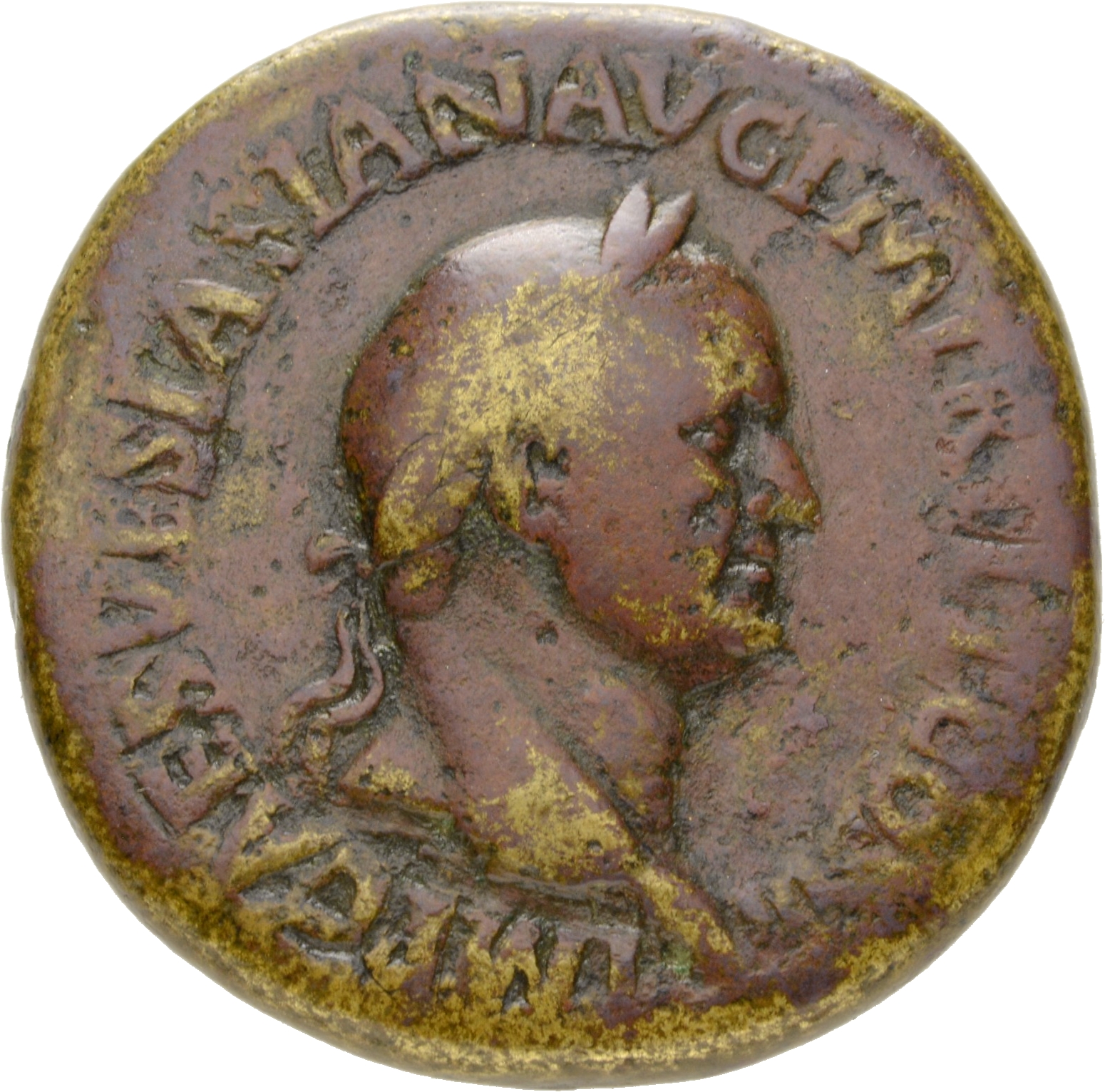Vespasian obverse — Head of Vespasian, laureate, right