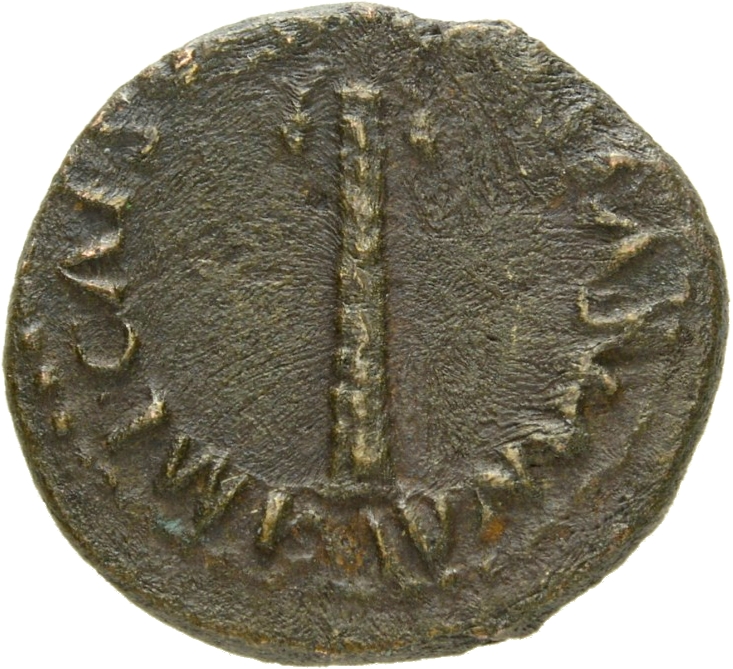 Vespasian obverse — Palm-tree