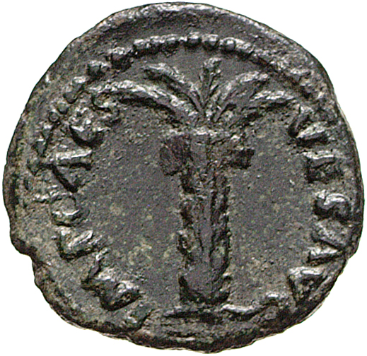 RIC II, Part 1 (second edition) Vespasian 352 Vespasian obverse, Palm-tree