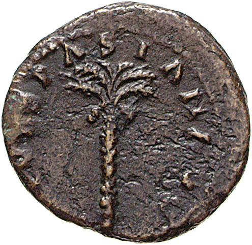 RIC II, Part 1 (second edition) Vespasian 408 Vespasian obverse, Palm-tree