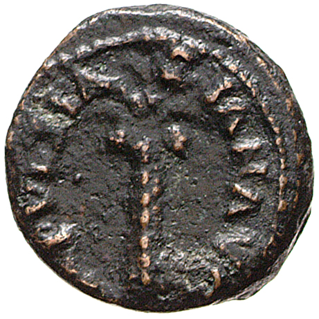 RIC II, Part 1 (second edition) Vespasian 408 Vespasian obverse, Palm-tree