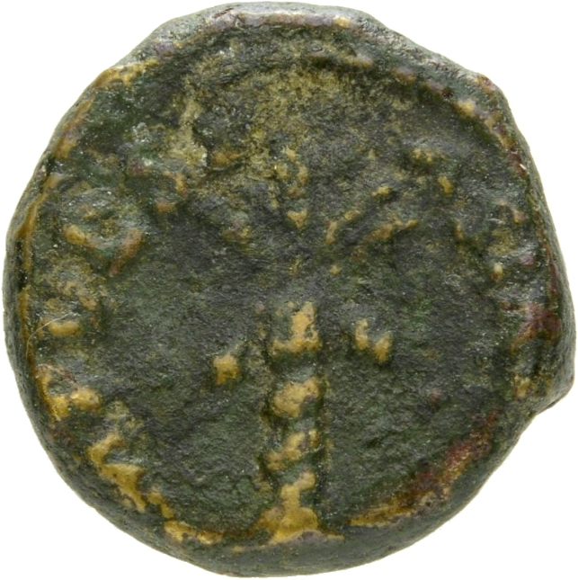 RIC II, Part 1 (second edition) Vespasian 409 Vespasian obverse, Palm-tree