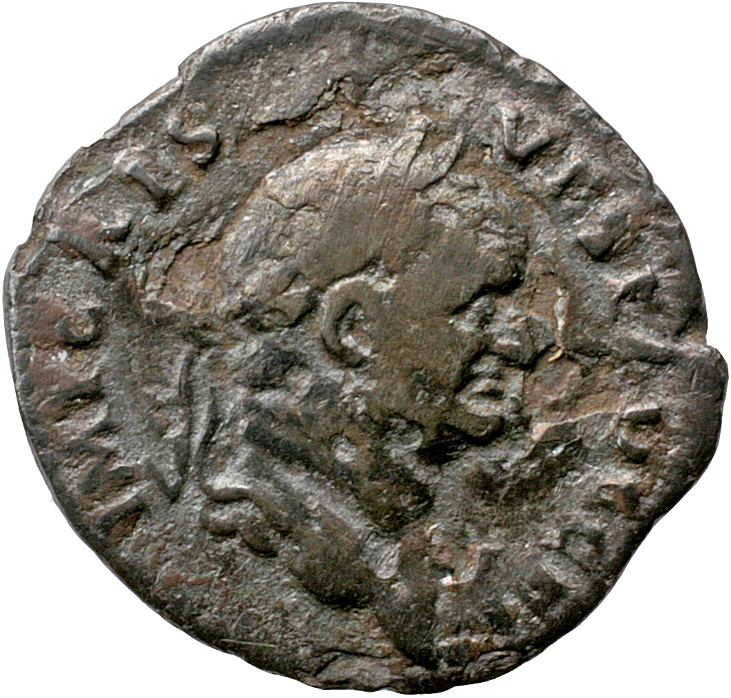 Vespasian obverse — Head of Vespasian, laureate, right