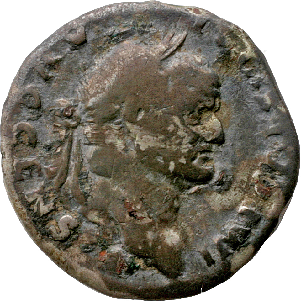 Vespasian obverse — Head of Vespasian, laureate, right