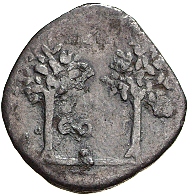 RIC II, Part 1 (second edition) Vespasian 681 Vespasian reverse, Two laurel branches, upright