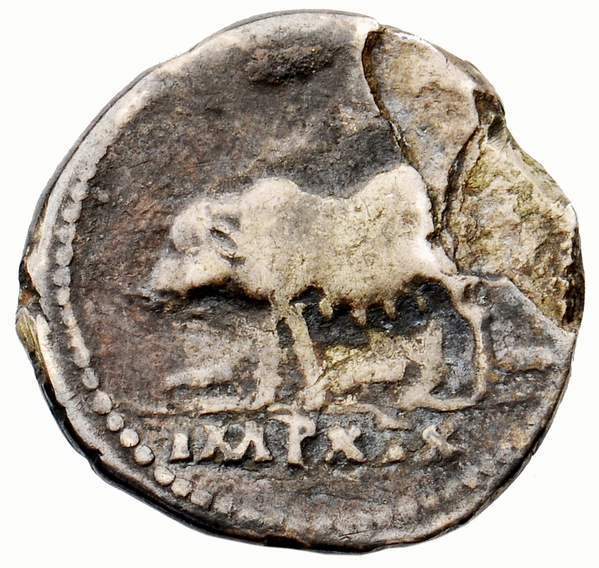 RIC II, Part 1 (second edition) Vespasian 982 Vespasian reverse, Sow left, with three (rarely two) piglets