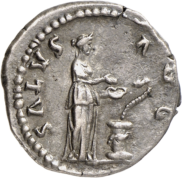 RIC II, Part 3 (second edition) Hadrian 2048 Hadrian reverse, Salus standing right, holding patera; to right, altar with s...