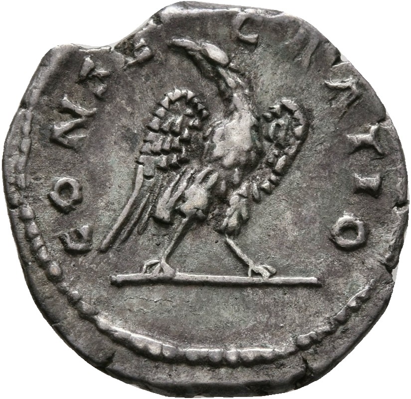 RIC II, Part 3 (second edition) Hadrian 2604 Hadrian reverse, Eagle standing right on sceptre, head left
