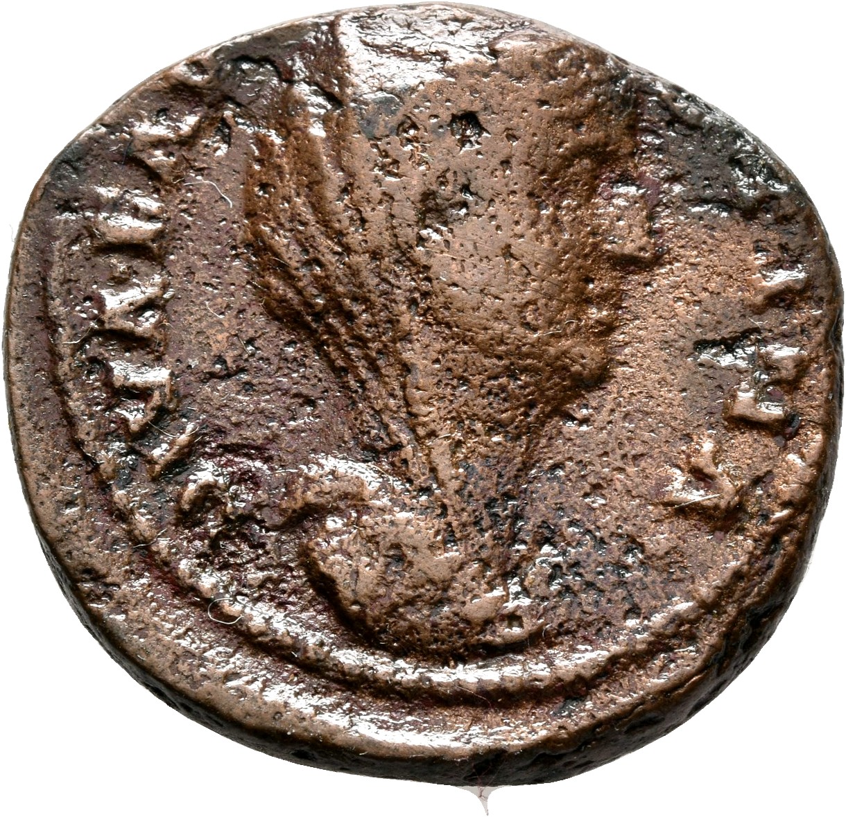 RIC III Antoninus Pius 1173b (as) Antoninus Pius obverse, Bust of Faustina the Elder, veiled, right