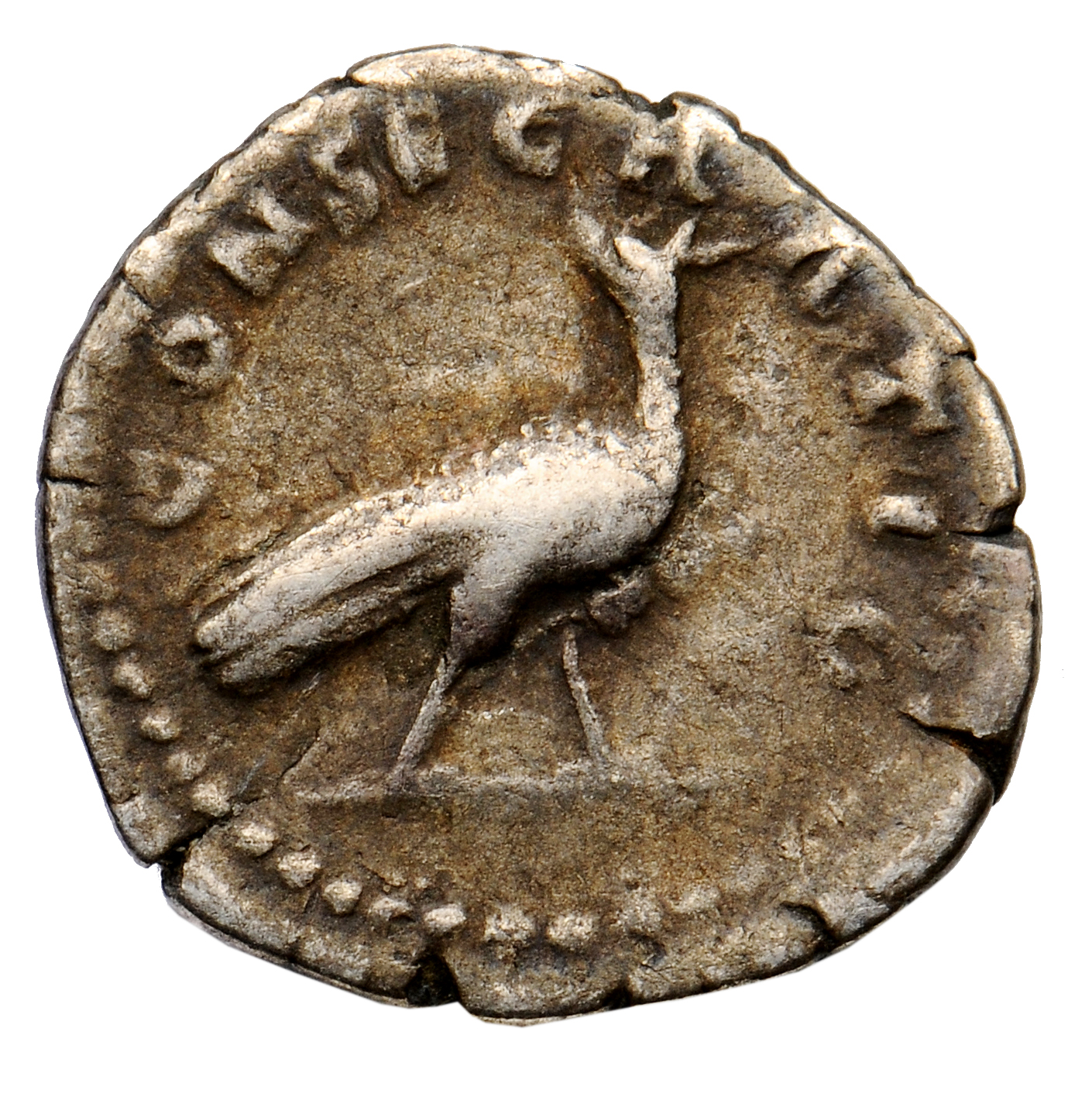 RIC III Antoninus Pius 384a (denarius) Antoninus Pius reverse, Peacock, walking right, head turned back left