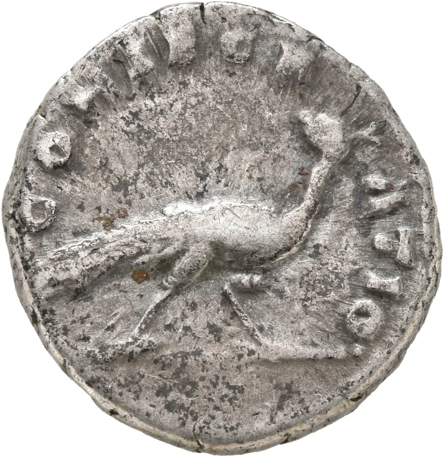 Antoninus Pius reverse — Peacock, walking right, head turned back left