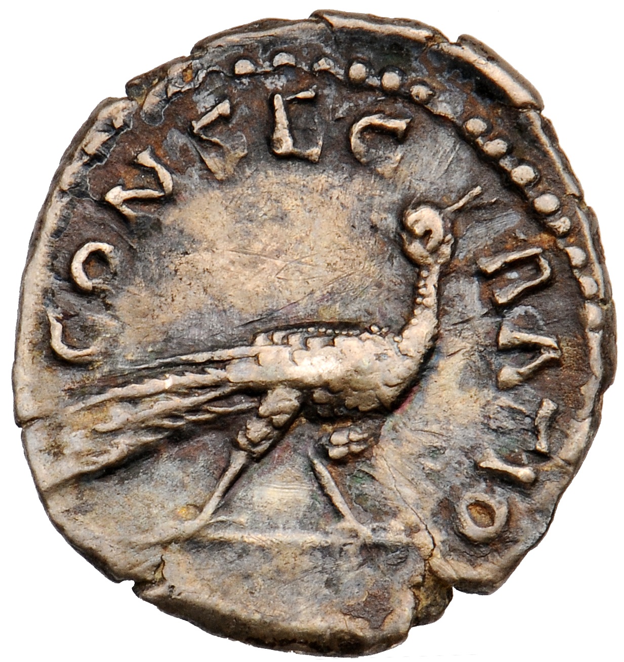 RIC III Antoninus Pius 384b Antoninus Pius reverse, Peacock, walking right, head turned back left