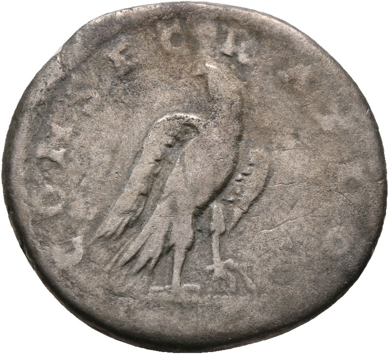 RIC III Antoninus Pius 387a (denarius) Antoninus Pius reverse, Eagle, standing right, head turned back, left