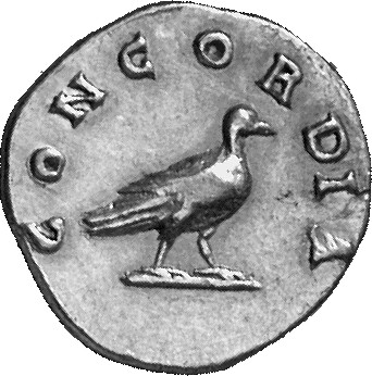 RIC III Antoninus Pius 503Aa Antoninus Pius reverse, Dove, right