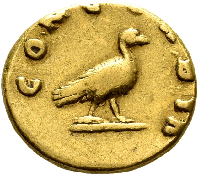 RIC III Antoninus Pius 503a Antoninus Pius reverse, Eine Taube läuft nach r.