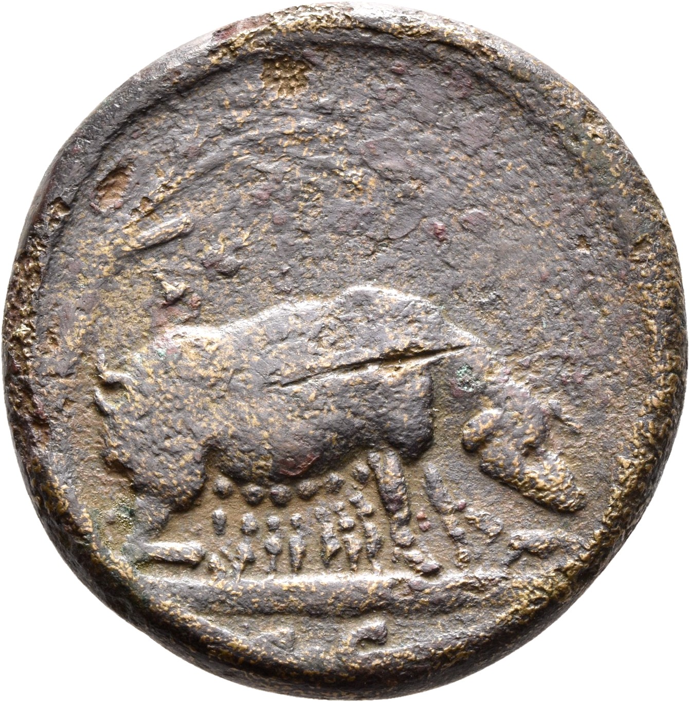 RIC III Antoninus Pius 629 Antoninus Pius reverse, The Great Sow, standing right, under holm-oak, suckling seven young; an...