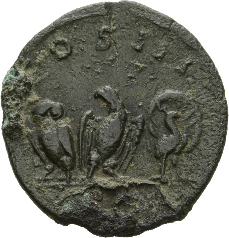 Antoninus Pius reverse — Owl standing, right, body inclined left, eagle standing front, head left, and peacock, with tail spread, standing, right