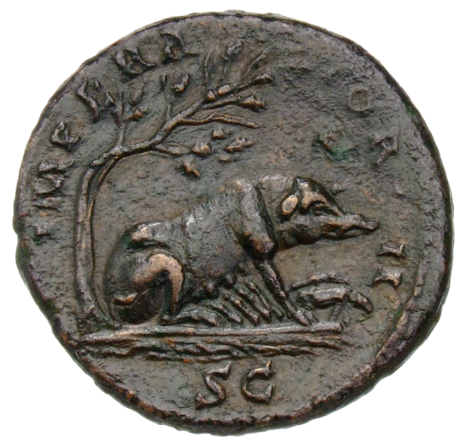 RIC III Antoninus Pius 733 Antoninus Pius reverse, Sow standing, right under holm-oak , suckling four young; in front, one...