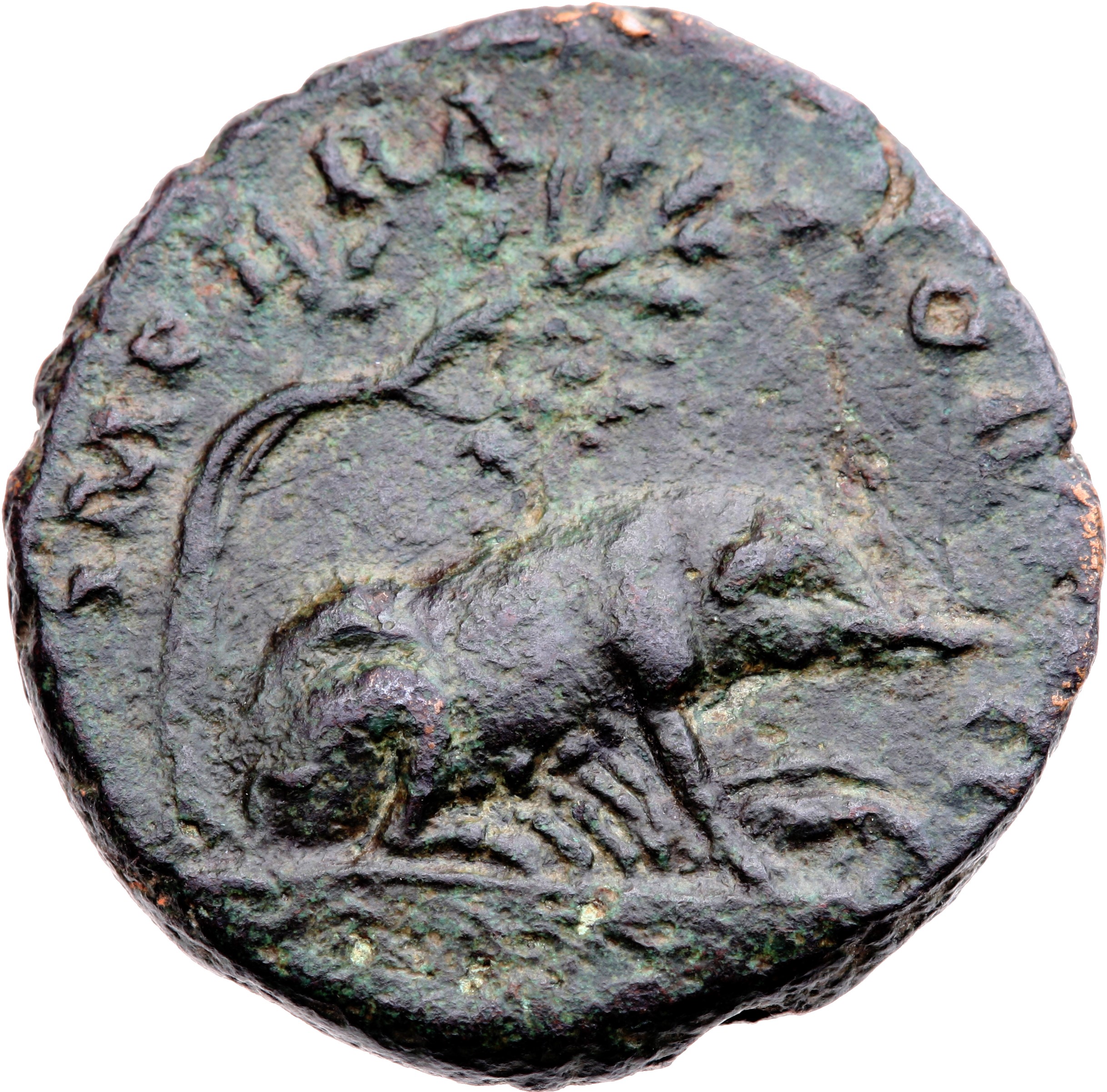 RIC III Antoninus Pius 733 Antoninus Pius reverse, Sow standing, right under holm-oak , suckling four young; in front, one...