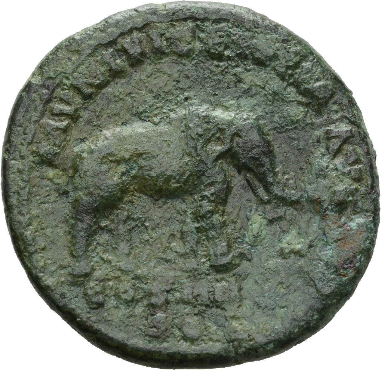 RIC III Antoninus Pius 862A Antoninus Pius reverse, Elephant, sometimes cuirassed, walking right