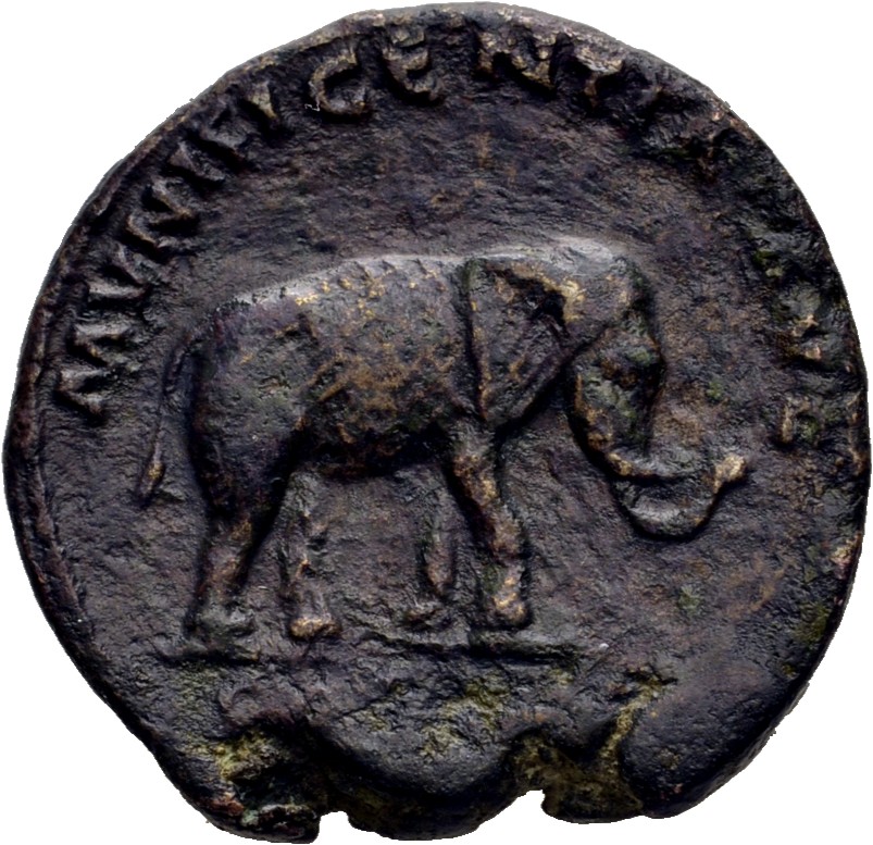 RIC III Antoninus Pius 862C Antoninus Pius reverse, Elephant, sometimes cuirassed, walking right