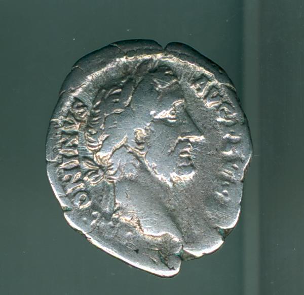 RIC III Commodus 137 Commodus obverse — Head of Commodus, laureate, right