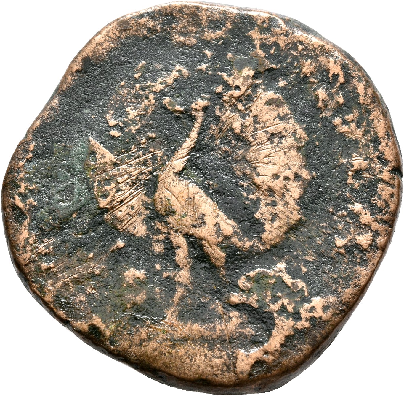 RIC III Marcus Aurelius 1703 Marcus Aurelius reverse, Peacock, with tail spread, standing front, head and body inclined left