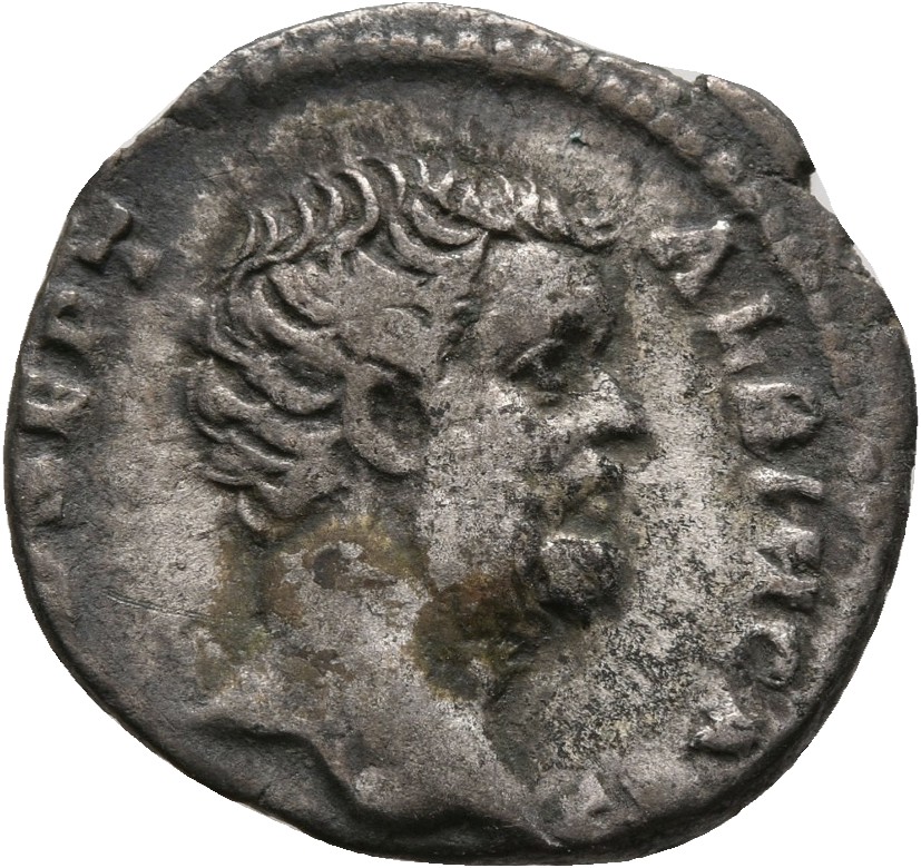 RIC IV Clodius Albinus 2 Clodius Albinus obverse — Head of Clodius Albinus, bare, right