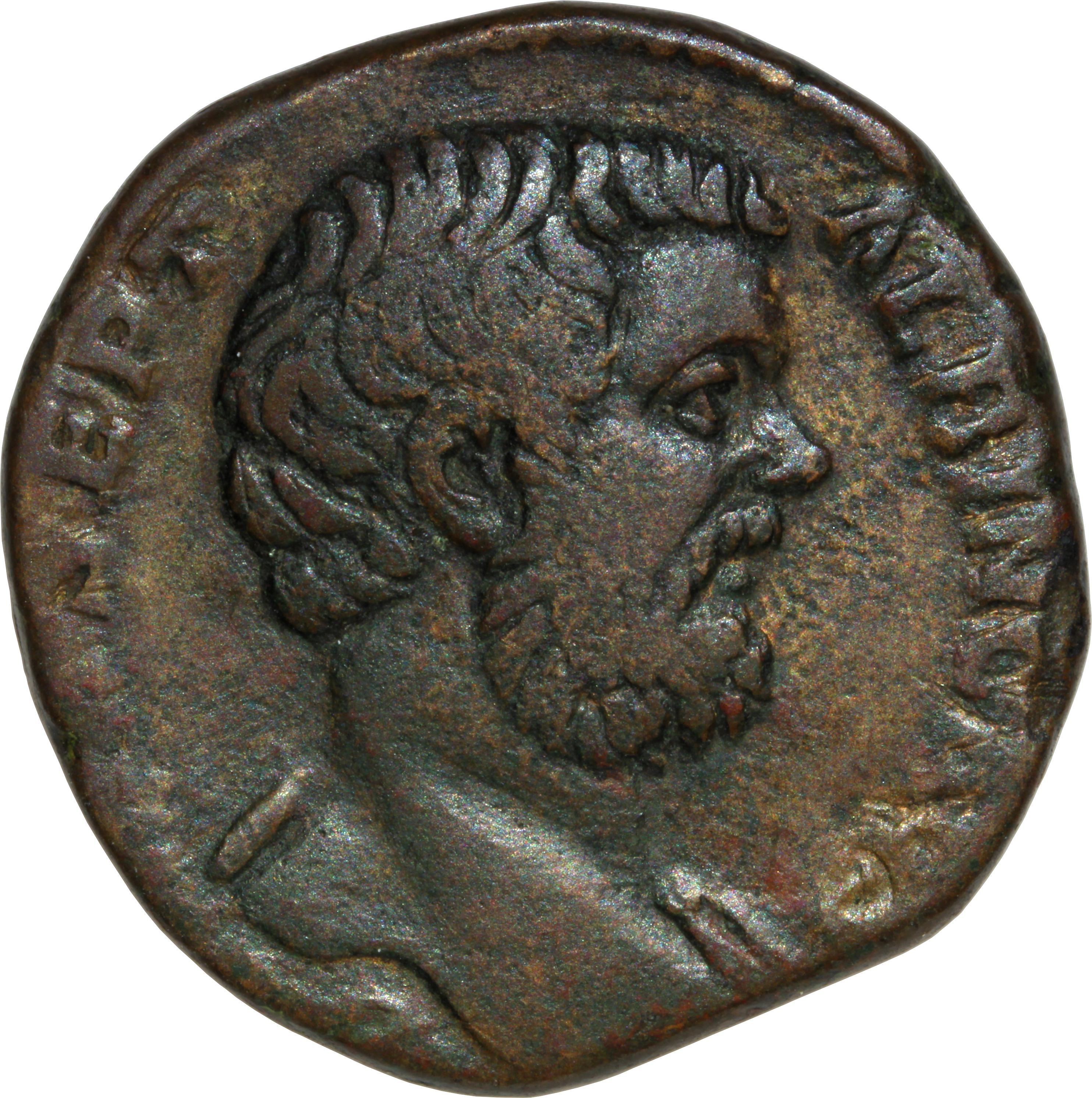 RIC IV Clodius Albinus 62 Clodius Albinus obverse — Head of Clodius Albinus, bare, right