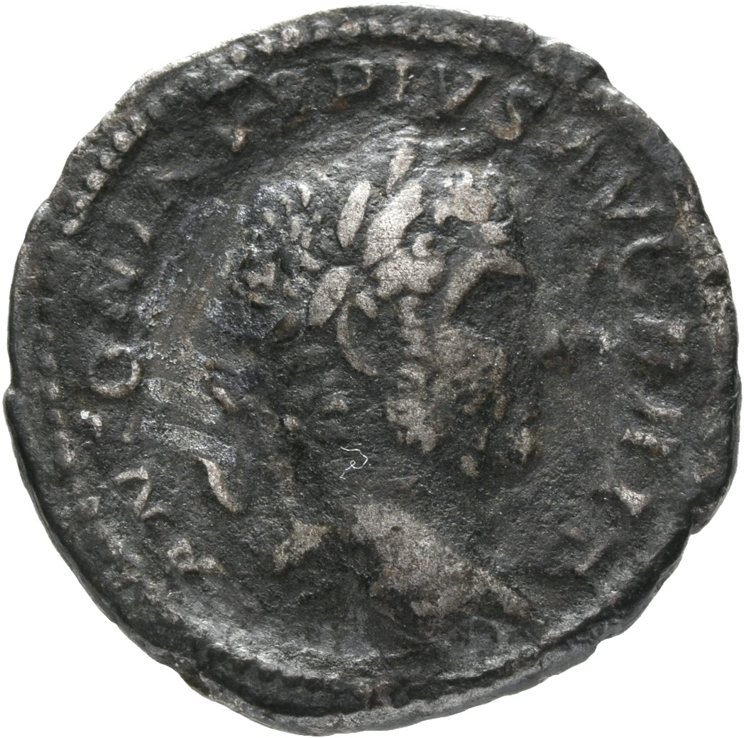 RIC IV Caracalla 116B Caracalla obverse, Head of Caracalla, laureate, bearded, right