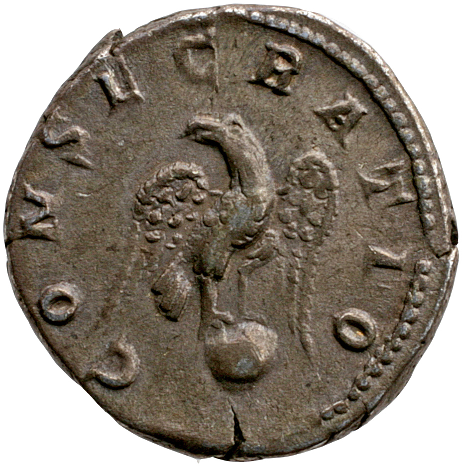 RIC IV Caracalla 191C Caracalla reverse, Eagle, standing front, head left, on globe
