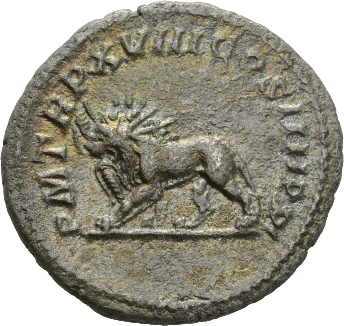 RIC IV Caracalla 273D Caracalla reverse, Lion, radiate, walking left, holding thunderbolt in its jaws